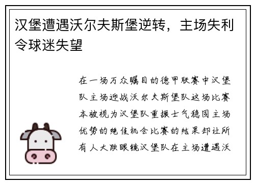 汉堡遭遇沃尔夫斯堡逆转，主场失利令球迷失望